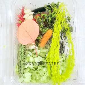DRY FLOWER BOX (LIGHT GREEN)