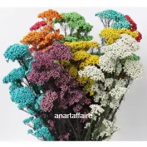 Rice flower bunch